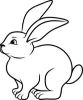 Illustration rabbit animal isolated on white vector