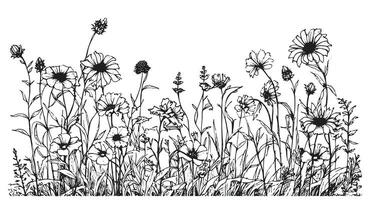 Wild flower field border hand drawn sketch in doodle style Vector illustration