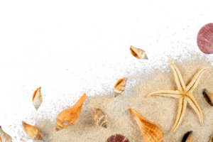 Schale auf das Strand Sand png