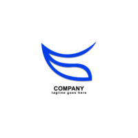 logo adapté pour la gestion consultant, audit et impôt. png