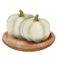 butternut schiacciare acquerello mano disegnato illustrazione png