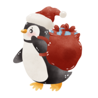 fofa pinguim Natal mão desenhado ilustração png