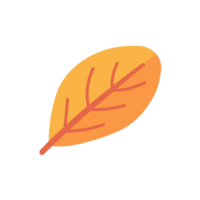 Beautiful leaf composition. Leaves change color in autumn png