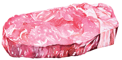 nötkött biff.målad med akvarell.ryggbiff rå material för matlagning.kött biff. png