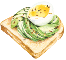 Avocado sandwich with soft-boiled egg, sliced avocado and eggs on toast for breakfast or healthy snacks.Healthy snack illustrations drawn by hand, painted with watercolors. png