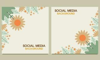 social medios de comunicación enviar antecedentes con natural floral ornamento. adecuado para social medios de comunicación correo, bandera diseño y Internet anuncios vector