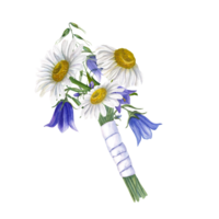 White daisies, bluebells, wild oats with white satin ribbon. Floral wedding bouquet or lovely boutonniere. Watercolor illustration. Watercolor illustration for wedding stationary png