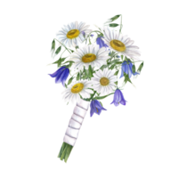 White daisies, campanula, wild herbs. Floral wedding bouquet with white satin ribbon. Lovely boutonniere. Watercolor illustration for wedding stationary png