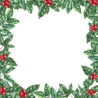 ram av grön ilex löv med knippa av röd bär. järnek löv, vintergröna buske. vinter- naturlig dekoration. vattenfärg illustration för jul, ny år kort png