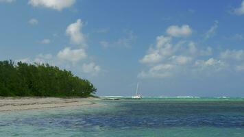 Picturesque view of strand and Indian Ocean and sailing yacht, Mauritius Island video