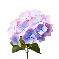 hortensia blomma med grön löv ai generativ png