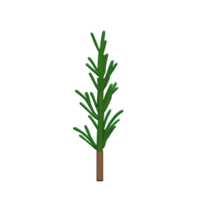 rosemary 3d rendering icon illustration png