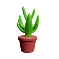 succulent 3d rendering icon illustration png