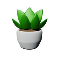 succulent 3d rendering icon illustration png