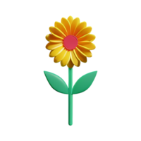 boho flowers 3d rendering icon illustration png