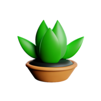 succulent 3d rendering icon illustration png