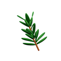 rosemary 3d rendering icon illustration png