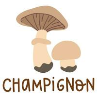 Colorful wild edible champignon with cartoon-style names. Isolated vector flat illustration. Mushroom mushroom. Edible mushrooms in forests large and small white outside, plate, growing