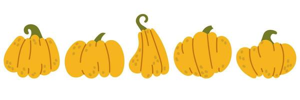 A set of flat yellow pumpkins. A sign of Halloween, Thanksgiving, harvest, farm. Close-up of squash, vegetable. Simple Pumpkin Cartoon Colorful Icon Symbol Isolated White Vector Illustration