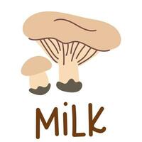 Colorful wild edible milk with cartoon-style names. Isolated vector flat illustration. White bunch mushroom. Edible mushrooms in the forests are large and small, completely light, plates, growing