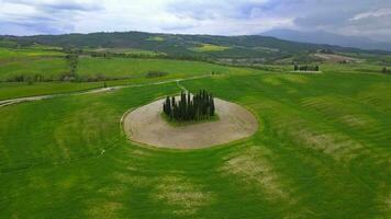 aéreo Visão do a cipreste dentro Toscana video