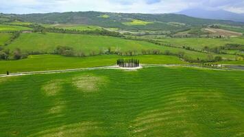 aérien vue de le cyprès dans toscane video