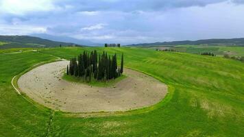 aérien vue de le cyprès dans toscane video