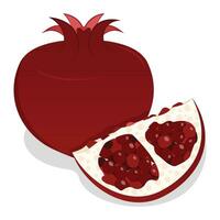 Illustration of a Pomegranate with Half Slice vector