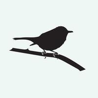 Bird vector png