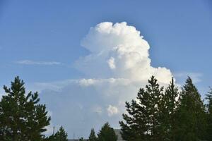 Beautiful thunderstorm landscape in the countryside. Thunderclouds and a horizon with a forest. photo