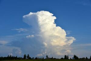 Beautiful thunderstorm landscape in the countryside. Thunderclouds and a horizon with a forest. photo