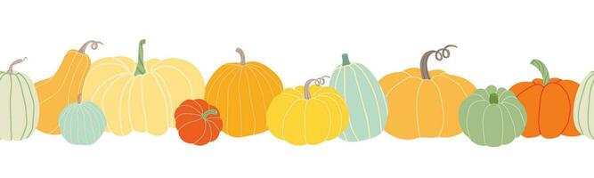 Pumpkins seamless banner isolated on white background. Set of different colored pumpkins . Autumn pumpkin harvest. Agriculture season. vector