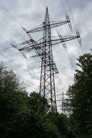 big power lines crossing the forest photo