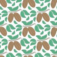 Cocoa and leaves seamless pattern vector