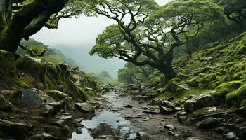 Tranquil scene nature beauty, wet leaves, green forest, flowing water generated by AI photo