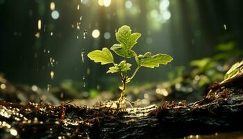 Fresh green leaves grow on tree, symbolizing new life in nature generated by AI photo