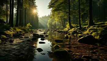 Tranquil scene nature beauty reflected in a serene forest pond generated by AI photo