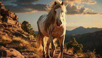 Majestic stallion grazes in tranquil meadow under sunset golden sky generated by AI photo