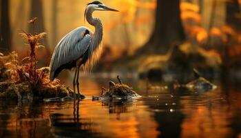 Tranquil scene egret fishing in sunset reflection on pond generated by AI photo