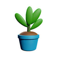 succulent 3d rendering icon illustration png