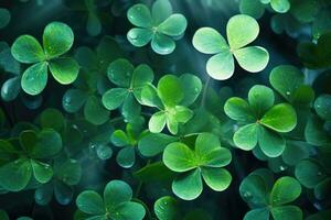 Pattern of four leaf clovers AI generated photo