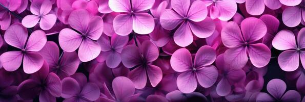 Bright pink pattern of four leaf clovers banner AI generated photo