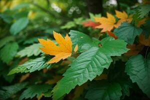 tierra día y mundo ambiente día, hermosa hojas. ai generativo Pro foto