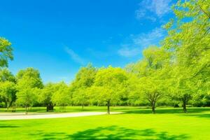 Beautiful landscape park with trees and sun. Colorful foliage in the park. AI Generative Pro Photo