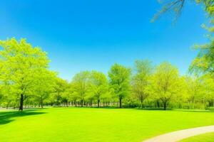 Beautiful landscape park with trees and sun. Colorful foliage in the park. AI Generative Pro Photo