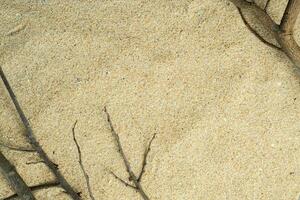 minimal beach sand with frame copy space photo