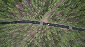 Aerial view of a car driving on a country road in a forest in the evening at twilight. Cinematic drone shot flying over gravel road in pine tree forest video