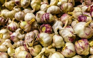 Buy fresh garlic in the supermarket in Mexico. photo