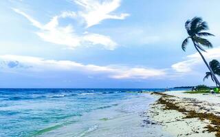 playa tropical mexicana agua turquesa clara playa del carmen mexico. foto