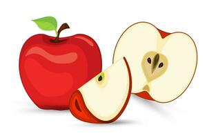 uno rojo manzana con un medio cortar aparte y con uno cortar parte de rojo sabroso manzana en aislado blanco fondo, sano Fruta concepto, y conjunto de manzanas Fruta ilustración vector